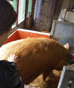 Jessie always goes for the redheads 2016-06-21 16.32.07 copy